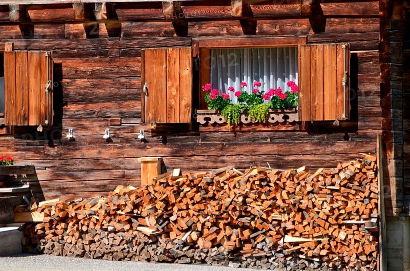 Alpine hut