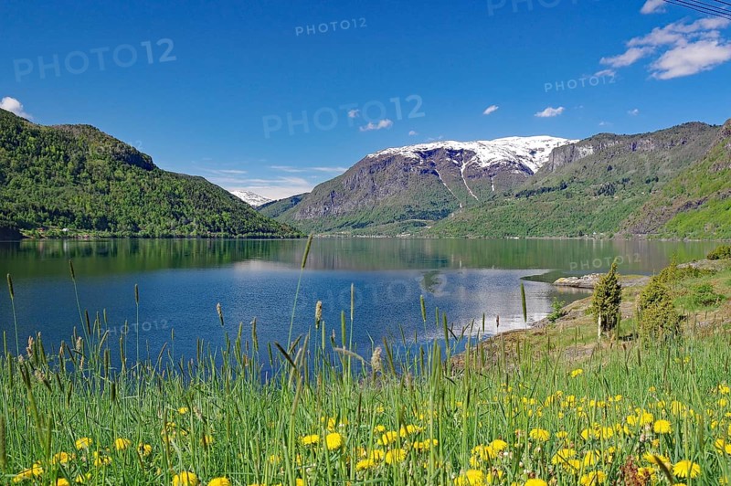 Spring landscape
