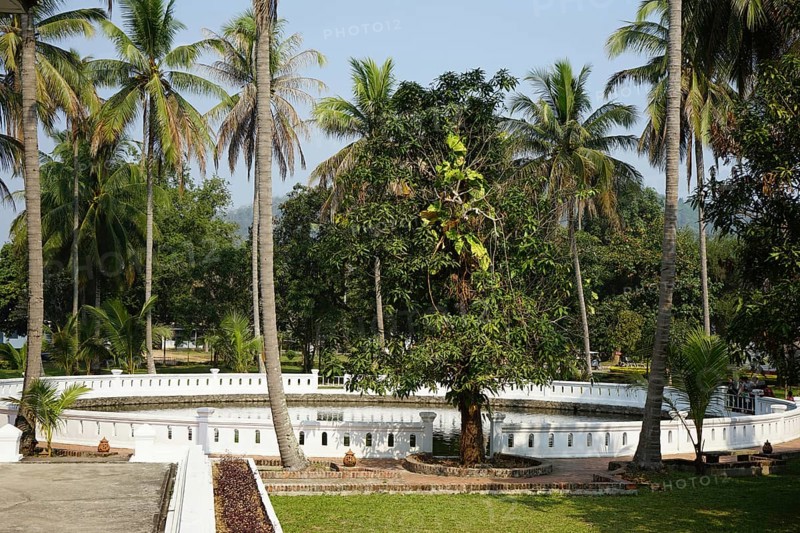 Lotus Pond