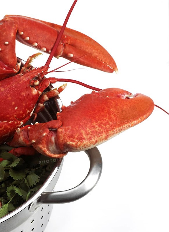 Boiled Lobster