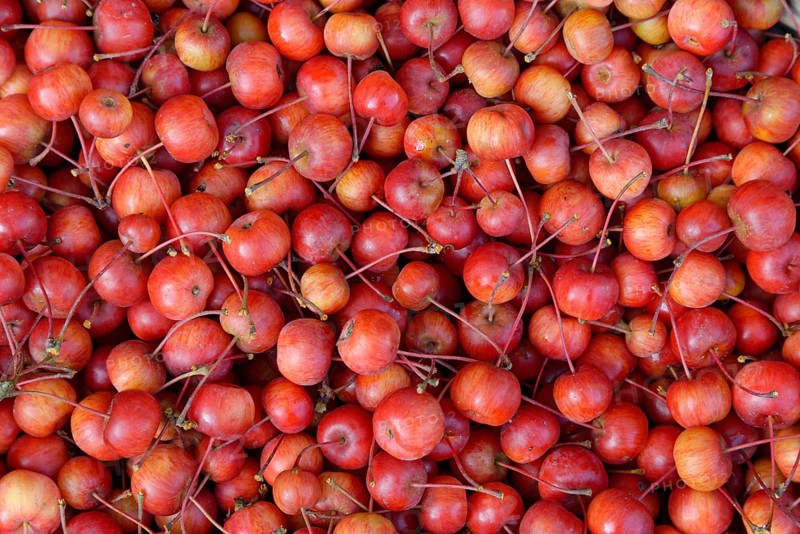 Fruits of the European crab apple