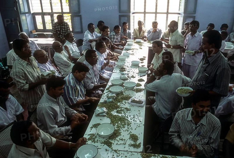 Cardamom auction centre at Bodinayakanur in Tamil Nadu