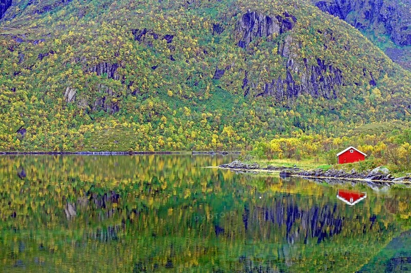 Red house by the fjord