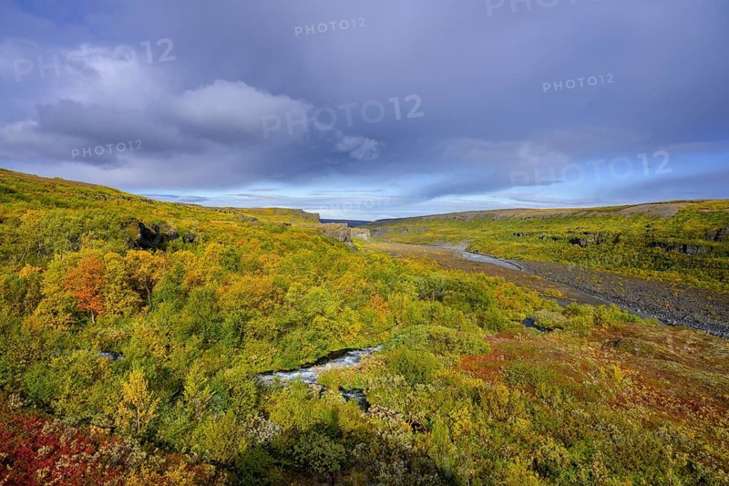Colourful autumn colours