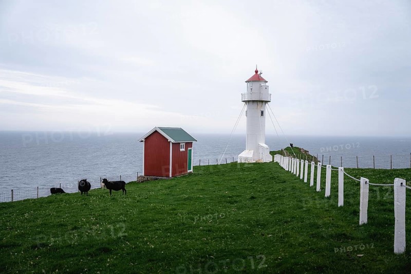 Akraberg Lighthouse with red hut and sheep