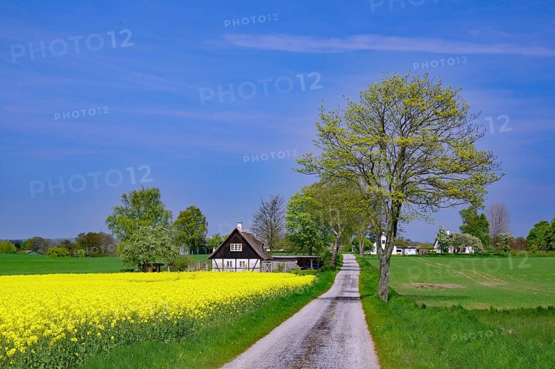 Narrow road