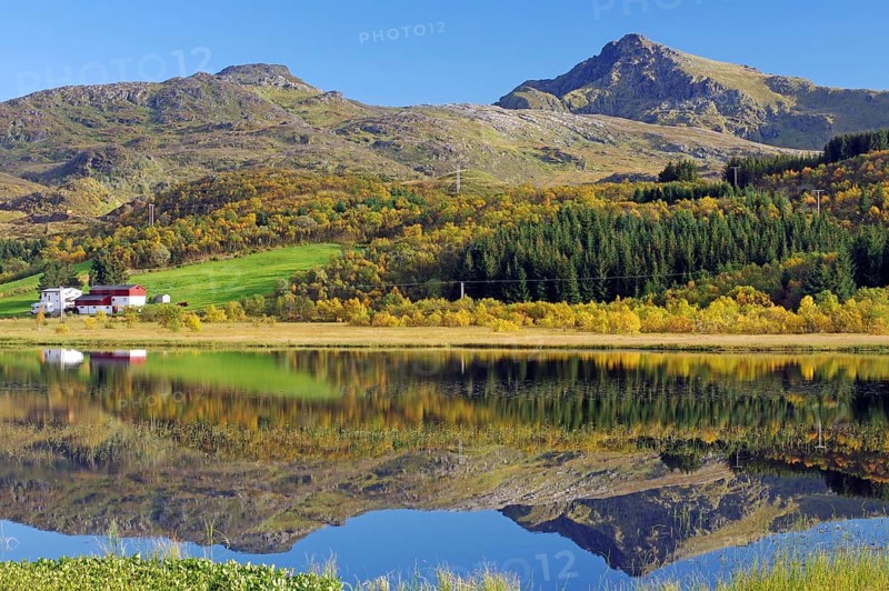 Quiet autumn landscape