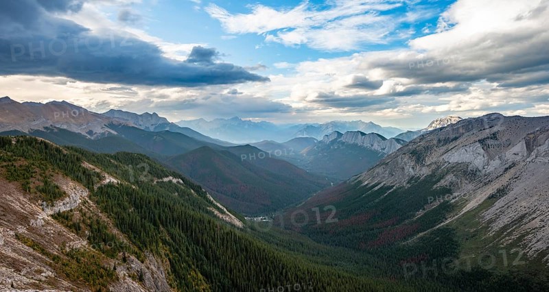 View into forested valley
