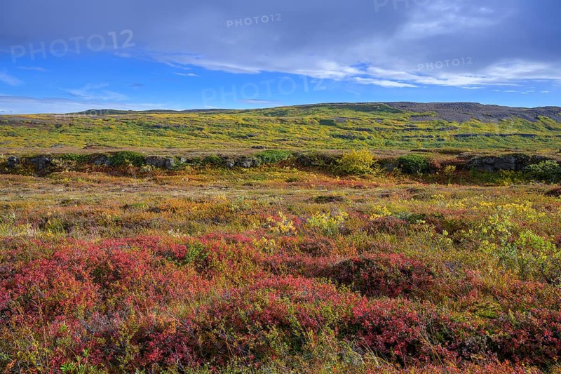 Colourful autumn colours