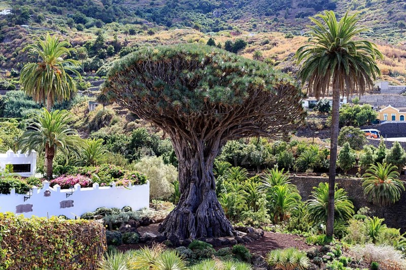 Tenerife