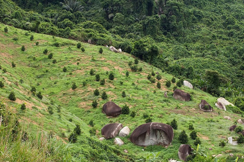 Fertile landscape with stone formations