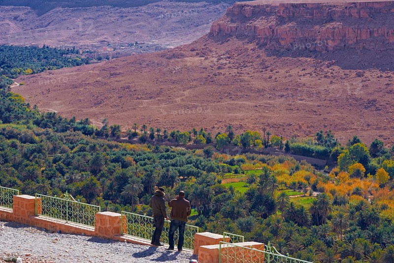 Tafilalet Oasis
