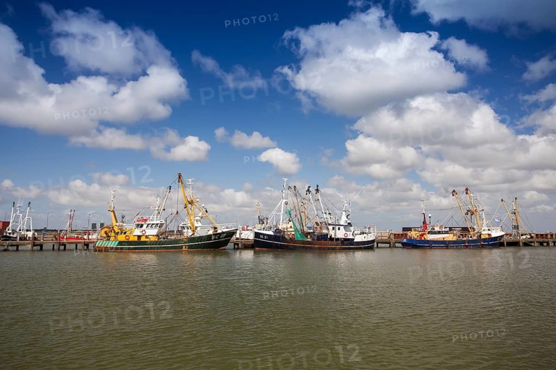 Fishing vessels in the fishing harbour of Roemoe