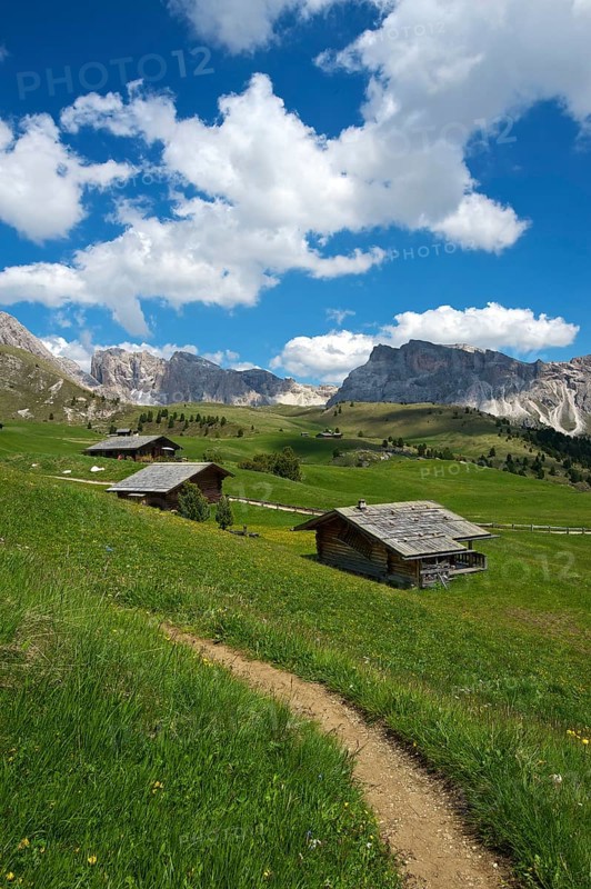 Alpine pasture on the Seceda