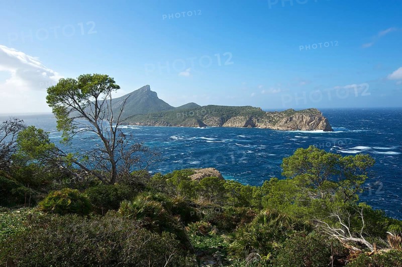 Sa Dragonera Island