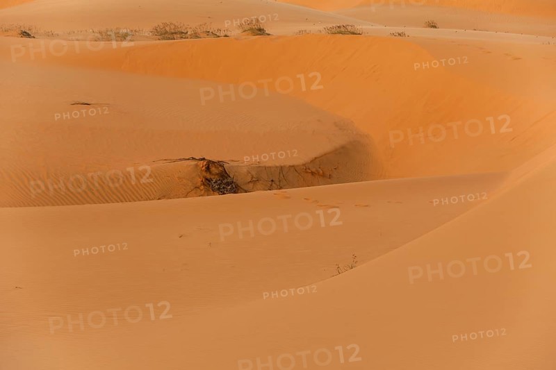 Red sand dunes of Mui Ne