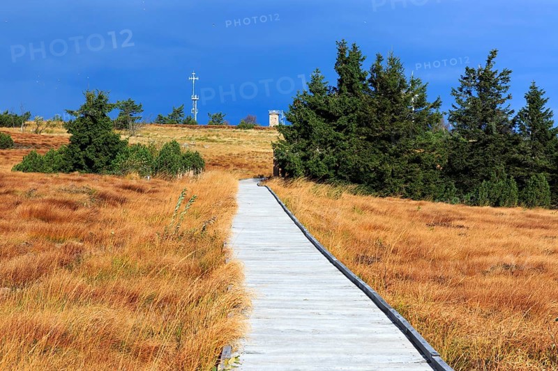 Black Forest National Park