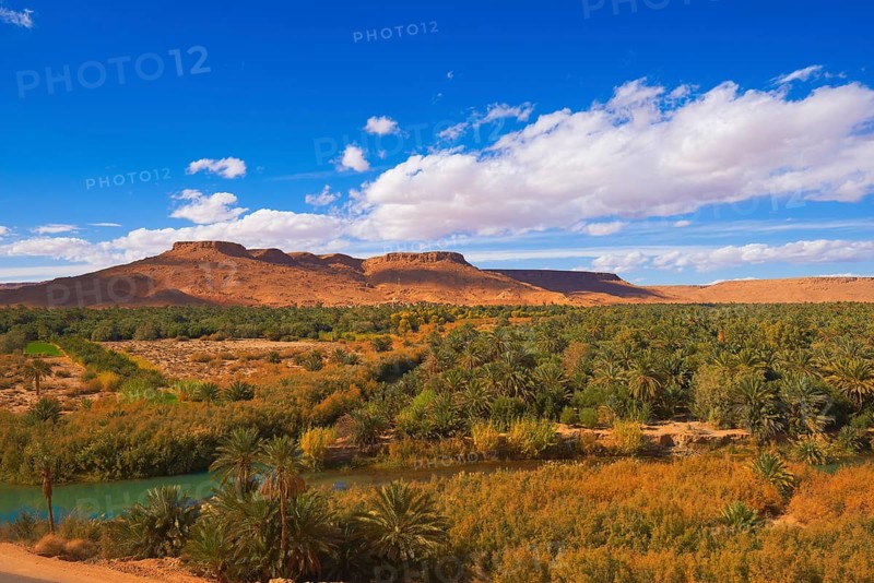 Tafilalet Oasis