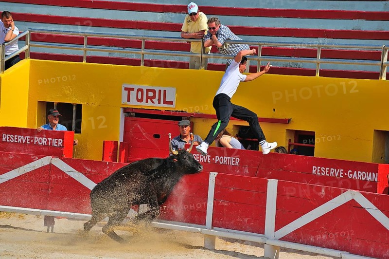 Bullfight