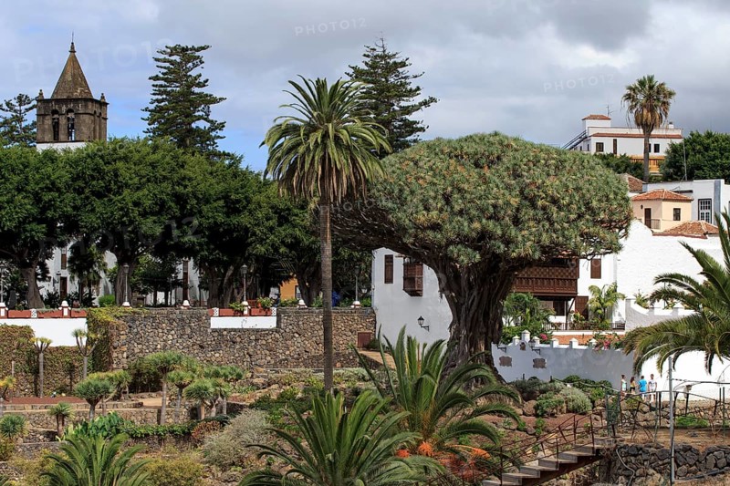 Tenerife
