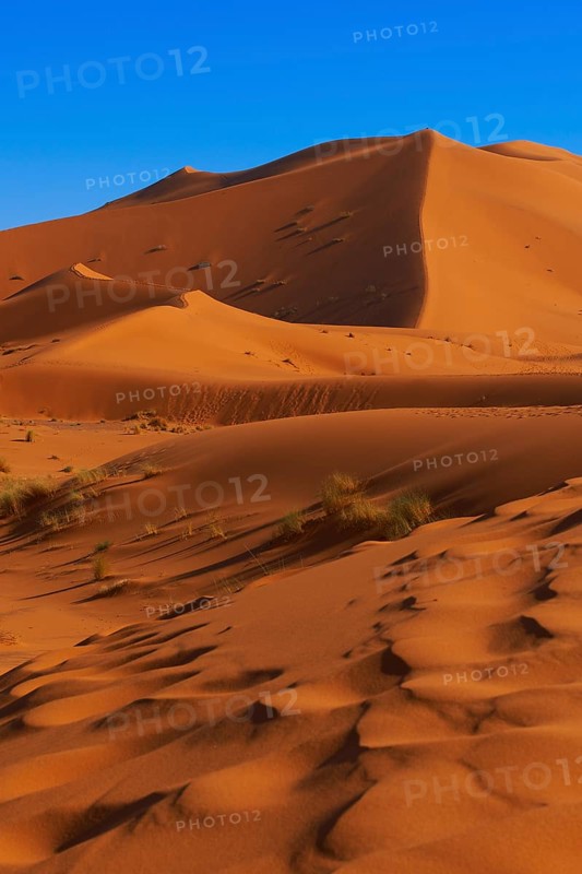 The Great Merzouga Dune