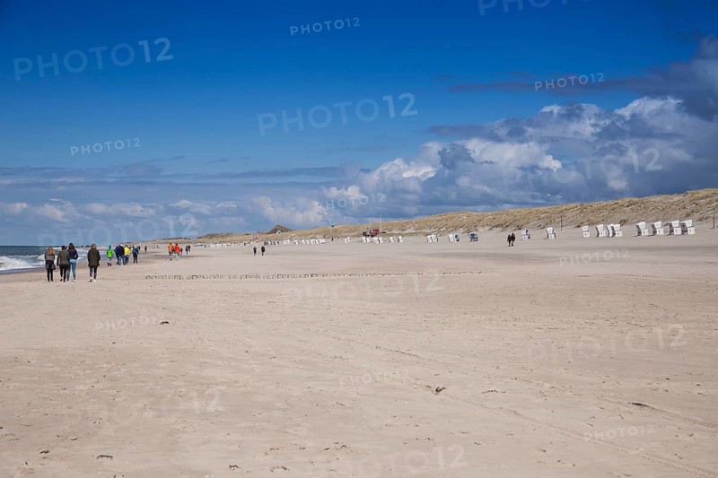Sandy beach beach at the Hoernumer Odde