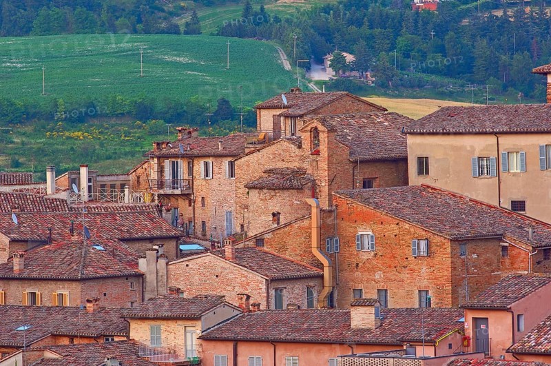 Urbino