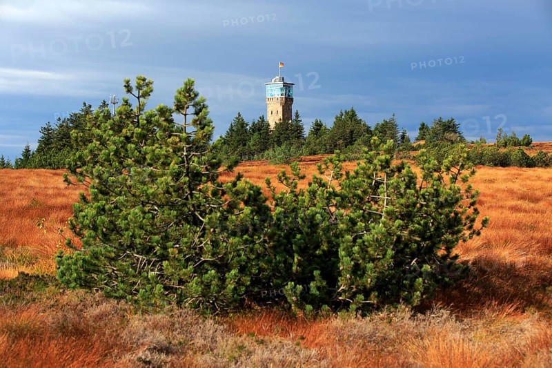 Black Forest National Park