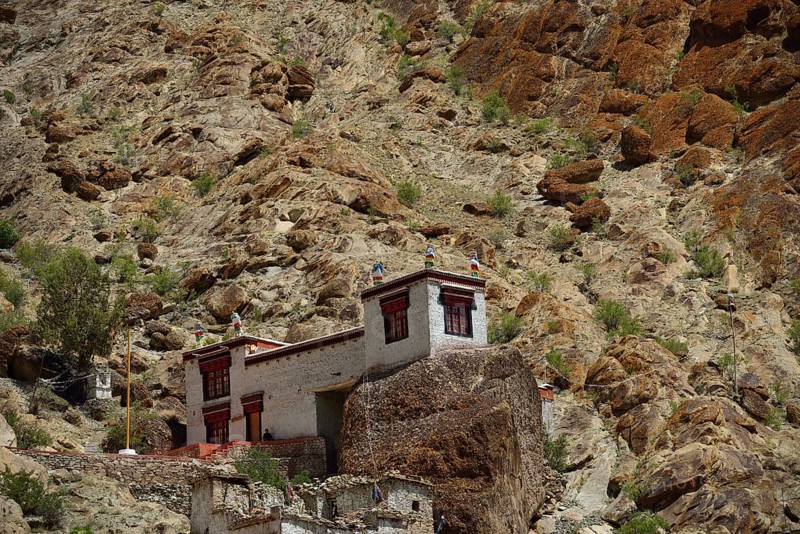 Hemis Festival