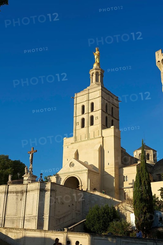 Papal Palace