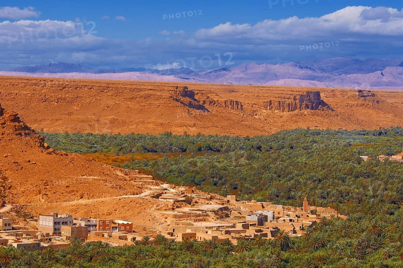 Tafilalet Oasis