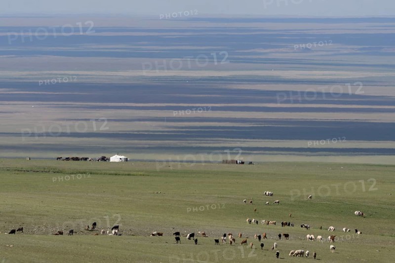 Camp in the Gobi