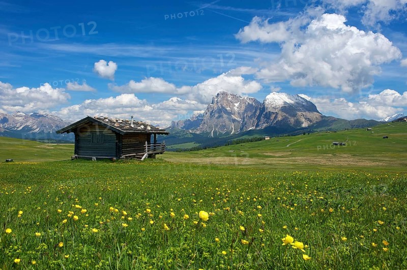 Alpine huts on the Alpe di Siusi with the Sella Group