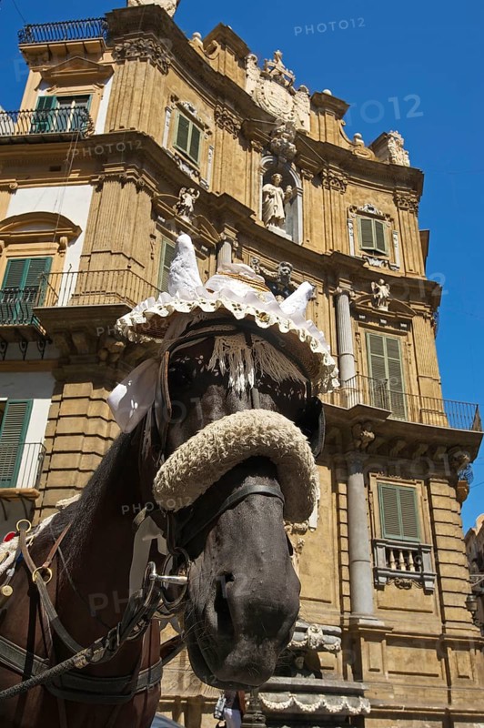 Horse-drawn carriage in Palermo