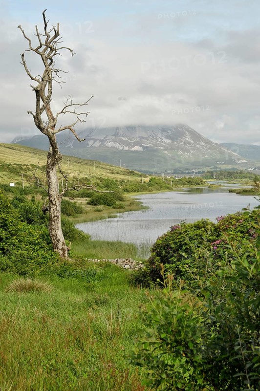 View of Mount Errigal from Gweedore
