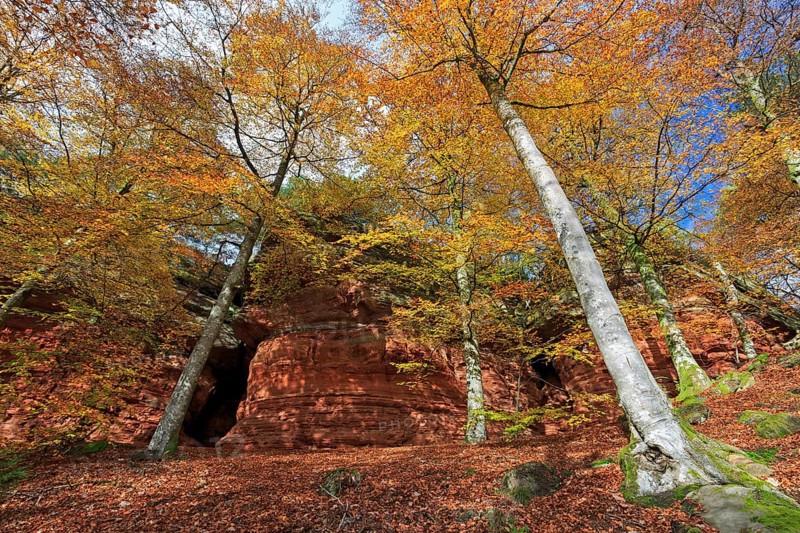 Natural Monument
