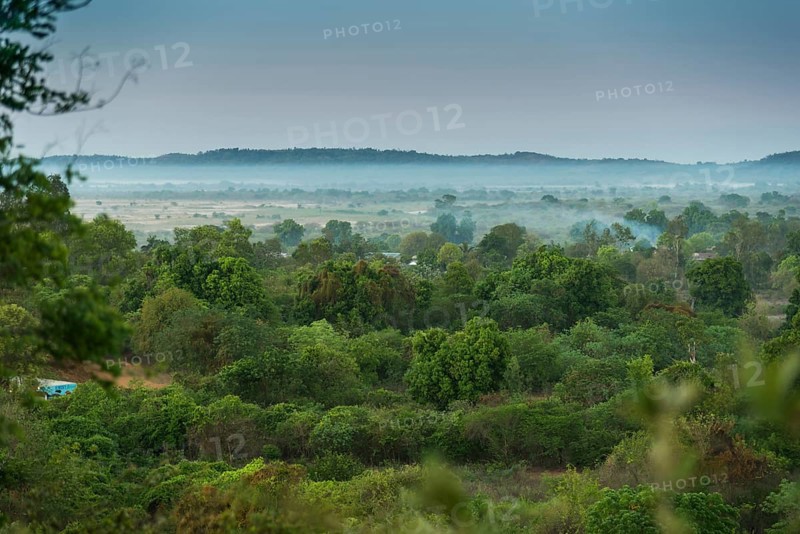 Bush landscape with morning fog near Bekopaka at Manambolo