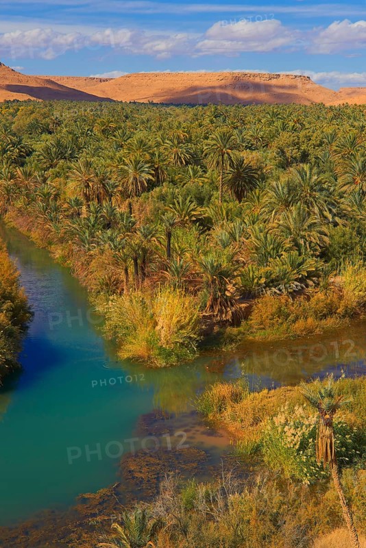 Tafilalet Oasis