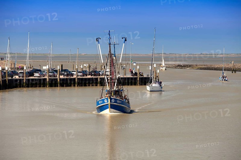 Crab cutter in the harbour