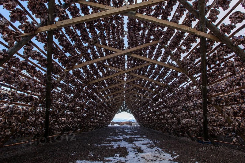 Dried fish