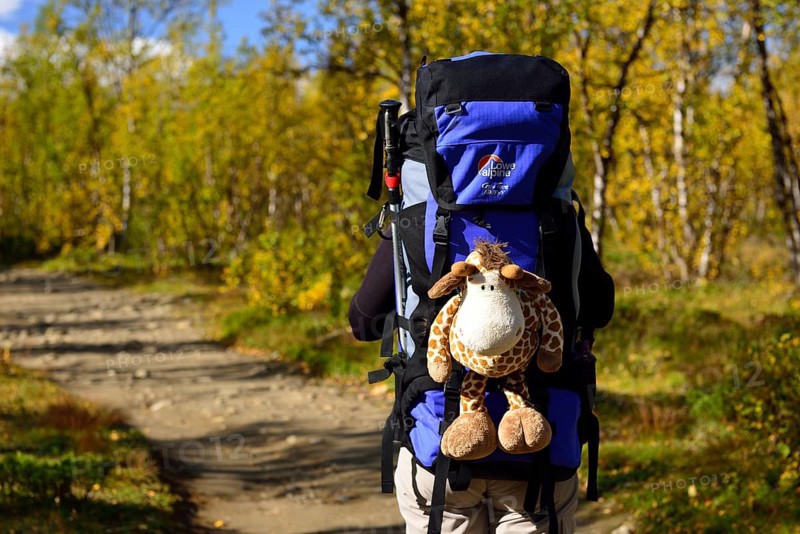 Trekking Nikkaluokta