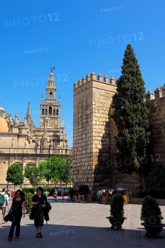 Cathedral and Giralda Tower