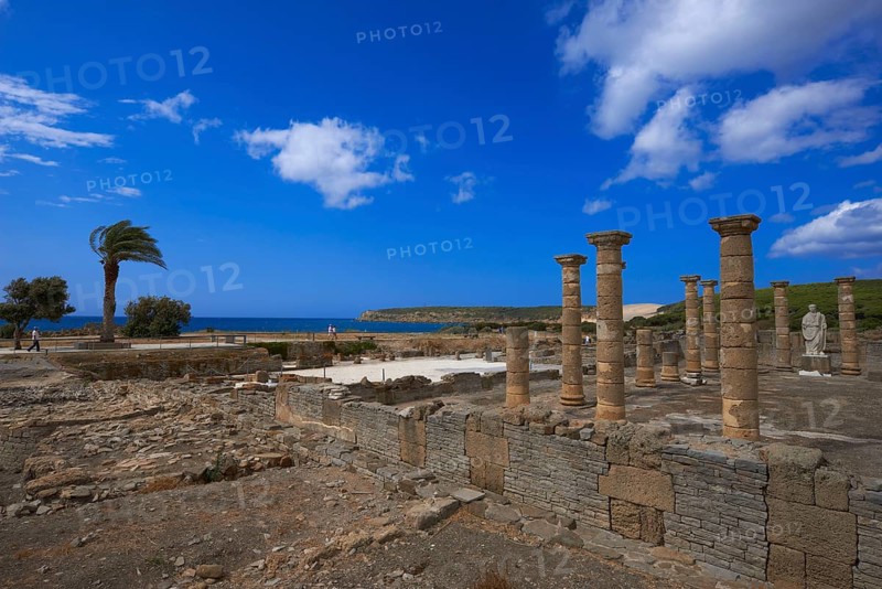 Bolonia