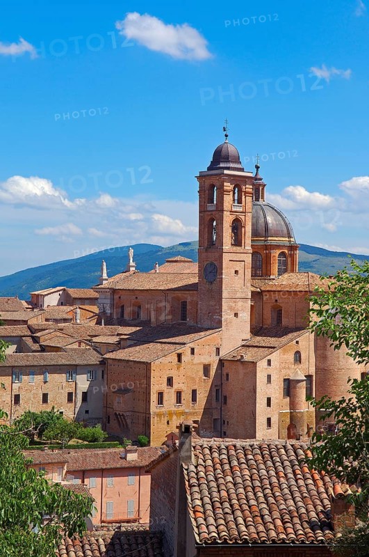 Urbino