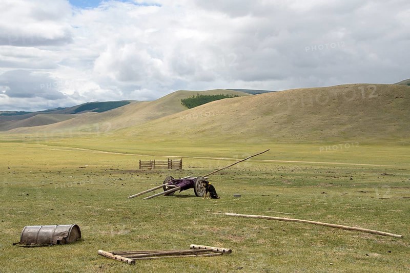 Steppe