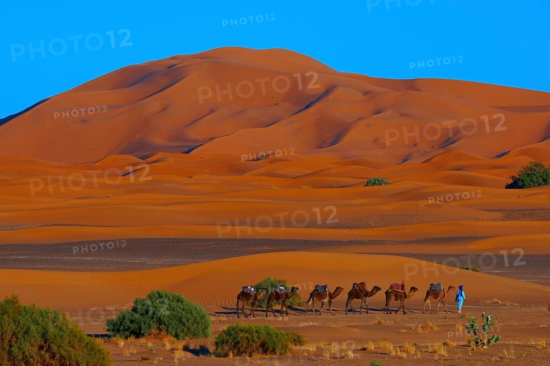 Merzouga