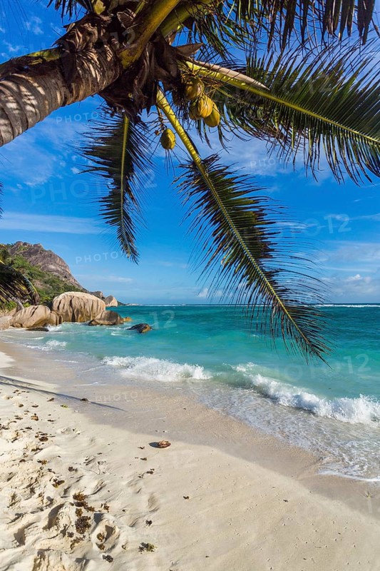 Beach Anse Source D'Argent