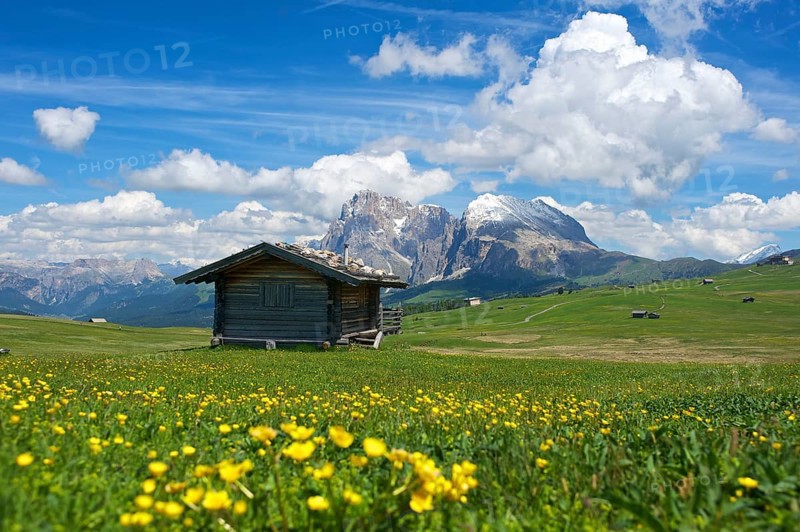 Alpine huts on the Alpe di Siusi with the Sella Group