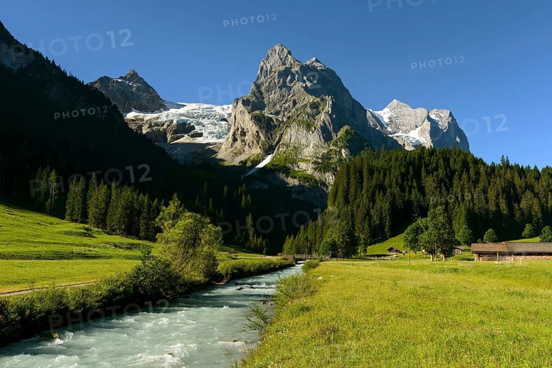Wellhorn