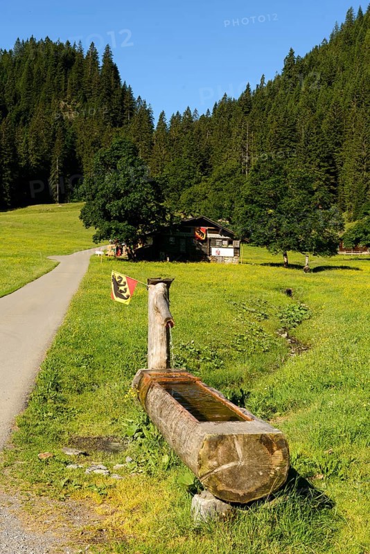 Alpine hut